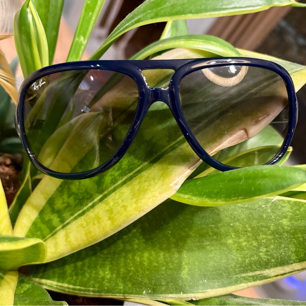 Ray-Ban Navy Aviator Sunglasses
